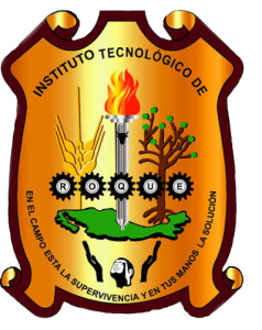 Educación a Distancia TecNM Roque